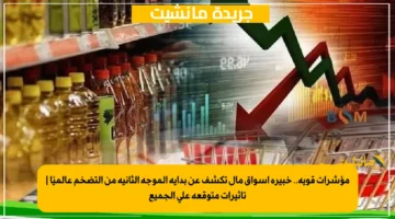 مؤشرات قوية.. خبيرة أسواق مال تكشف عن بداية الموجة الثانية من التضخم عالميًا | تأثيرات متوقعة على الجميع